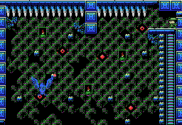 Room guardian in Confusion Gate
